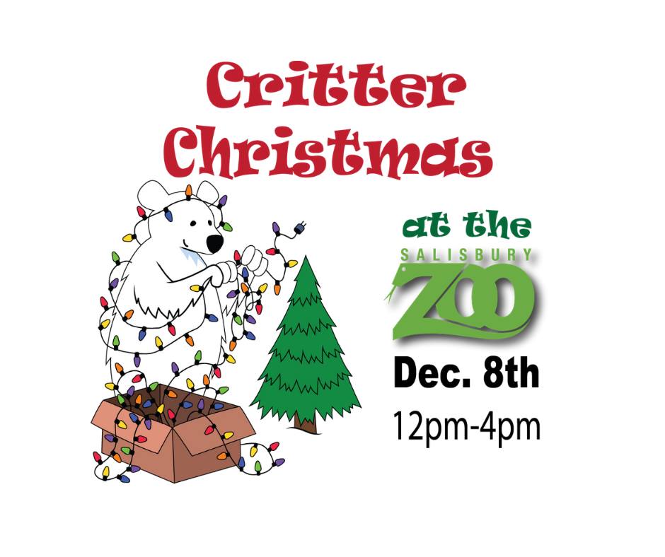 Download Critter Christmas At The Salisbury Zoo Downtown Salisbury Md 3D SVG Files Ideas | SVG, Paper Crafts, SVG File